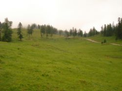 2013-06-22_Hirschhoerndl_Jochberg (255).JPG